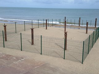 Sun, sea, sand, and ...fencing